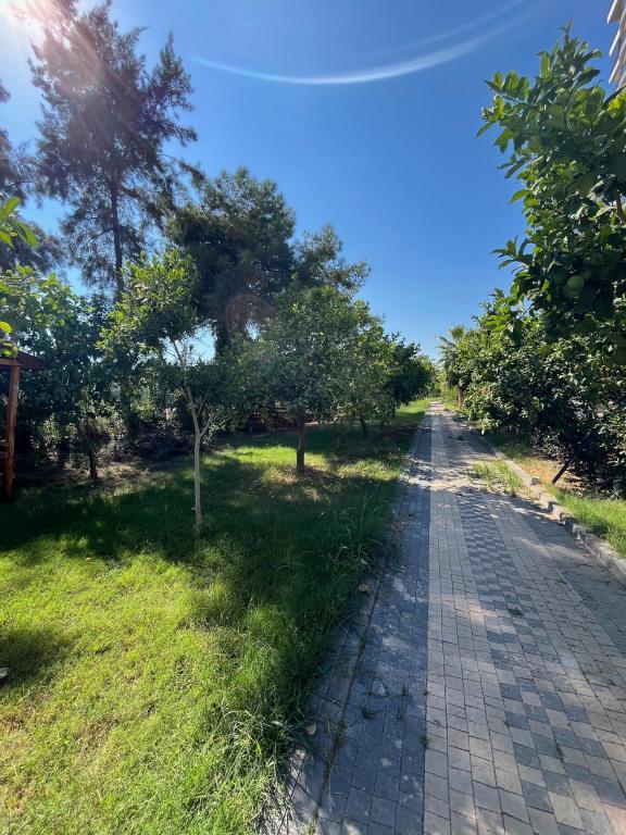 Mersin Panorama Otel — 3