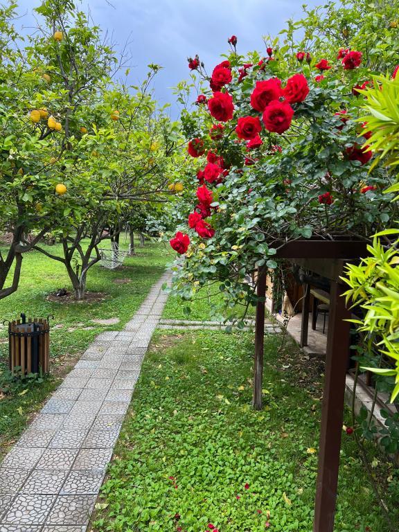 Myland Nature Otel — 10