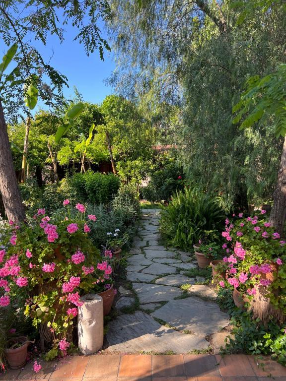 Myland Nature Otel — 1
