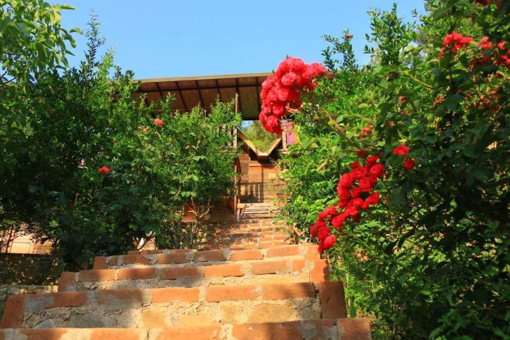 Olympos Otantik Pansiyon — 4