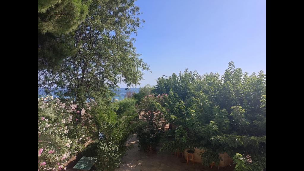 Palmiye Otel Özdere — 7
