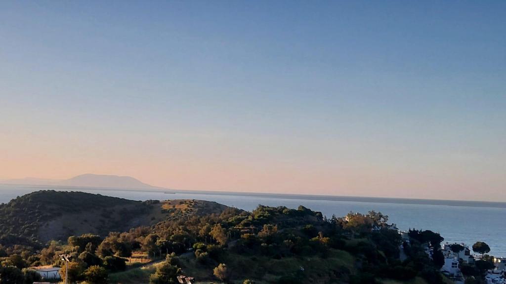 Sole Foça — 8