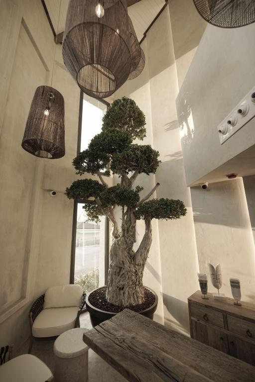 Wakana Alaçatı +16 Adult Only — 10