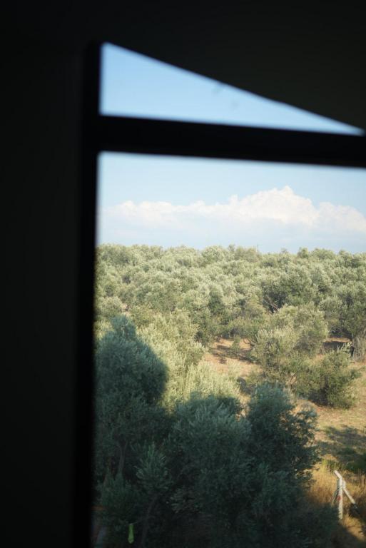 Yeşil Ege Otel — 9