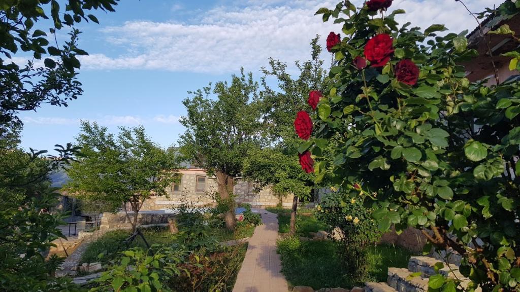 Tarih Otel Nemrut Dağı — 3
