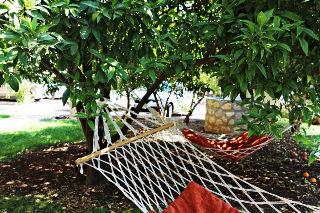 Ferah Hotel Patara — 10