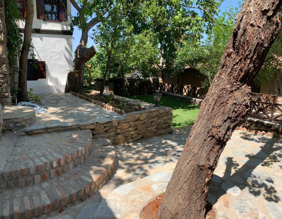 Adissa Şirince — 4
