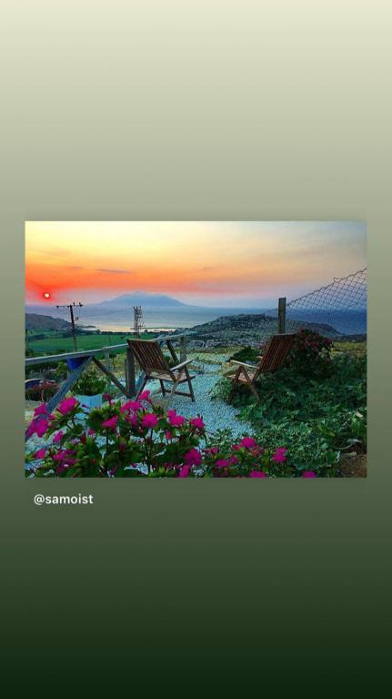 Dimitri Ada Evi & Restaurant — 7