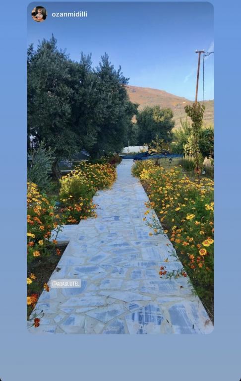 Adasu Otel Marmara Adası — 3
