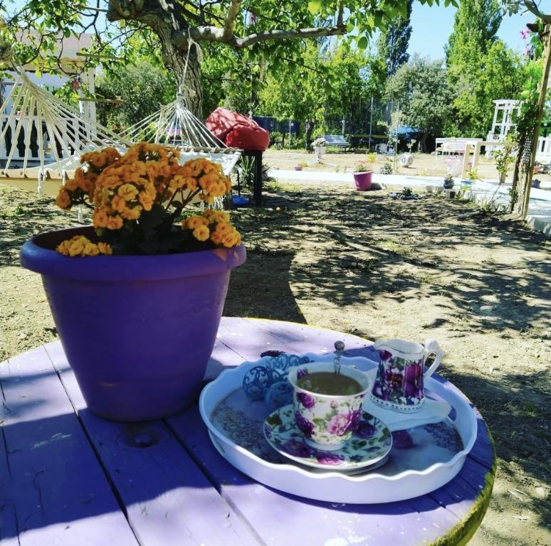 Adasu Otel Marmara Adası — 2
