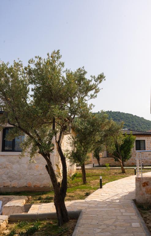 Terra Rossa Stone Houses — 8