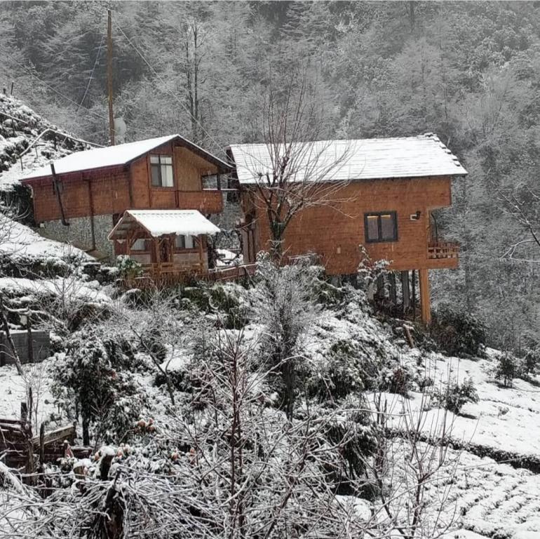 Avitte Dağevleri — 6