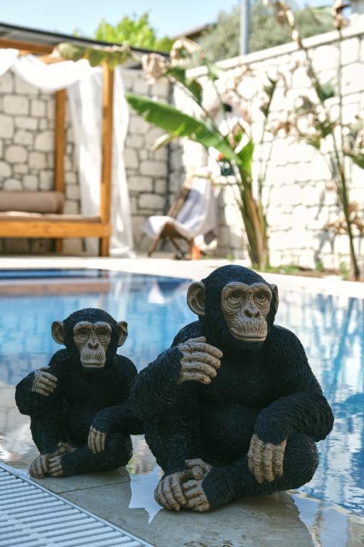 No 35 Alaçatı (Adults Only +16) — 7