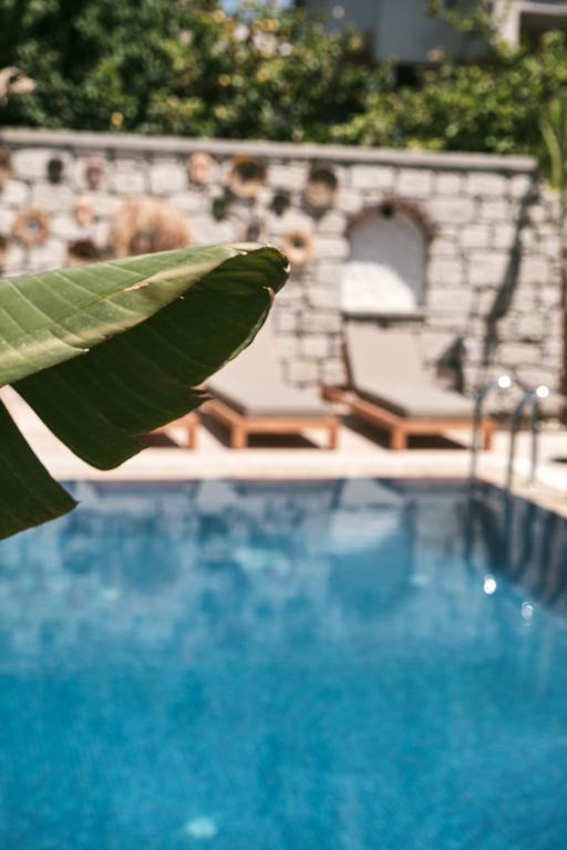 No 35 Alaçatı (Adults Only +16) — 4