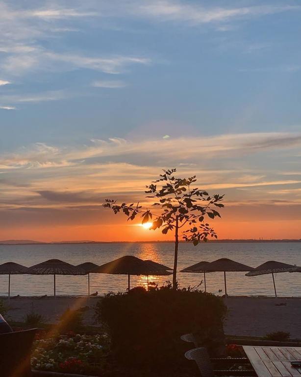 Paradise Island Hotel — 10