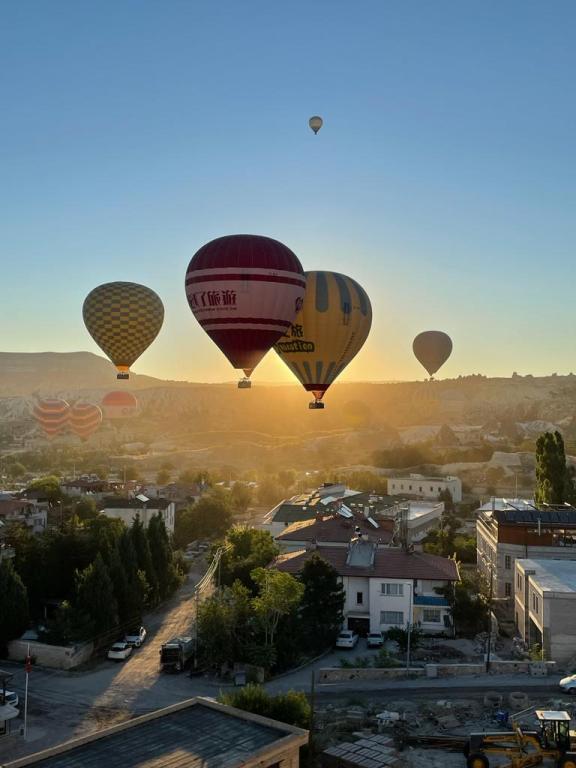 Balloon View Hotel — 5