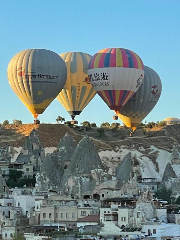 Balloon View Hotel — 7