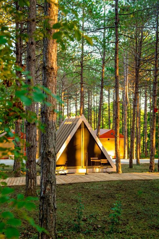 Longosphere Glamping — 1