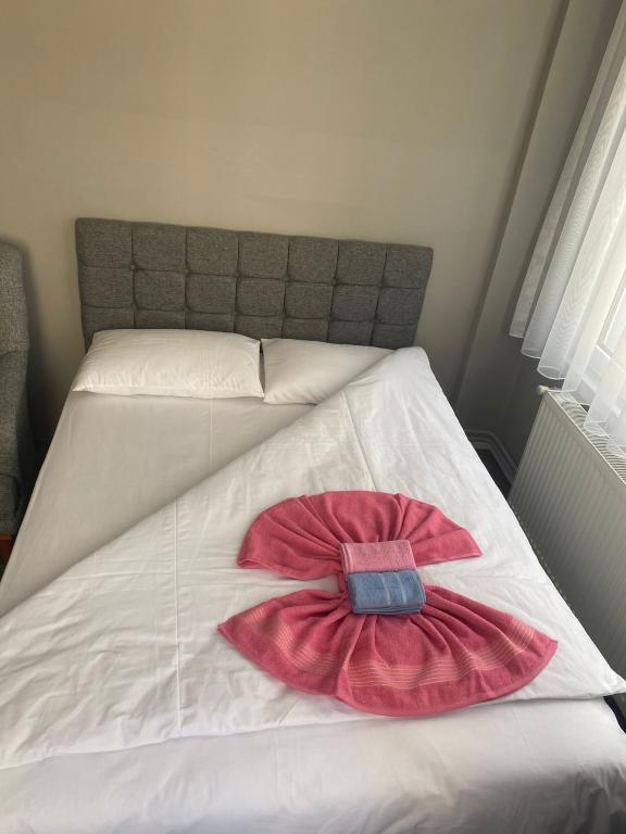 Samsun Otel Vidinli — 2