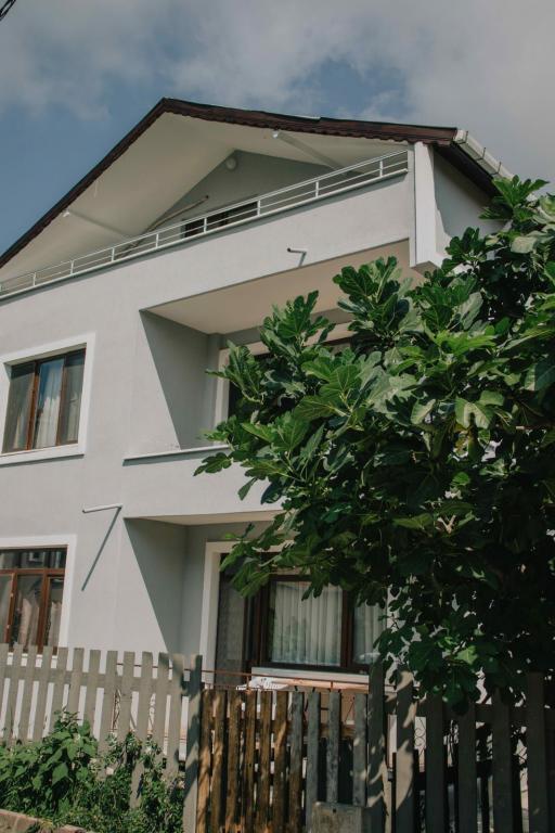 Ağva Marina House — 3