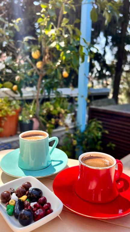 Pervin Hanım Konağı Alaçatı — 10