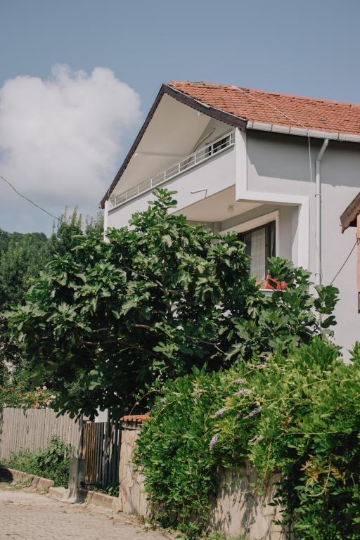 Ağva Marina House — 1