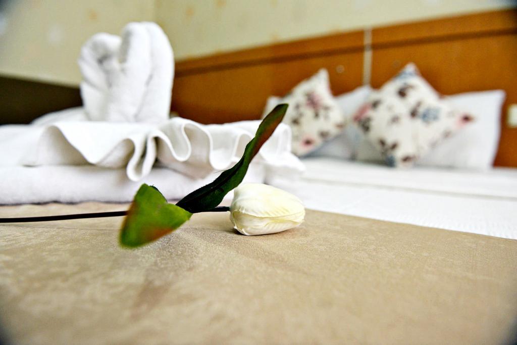 Doyuranlar Ata Hotel — 9