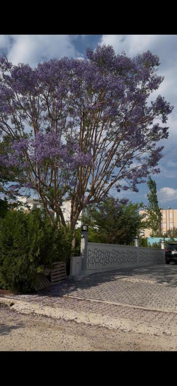 Şahiner Apart Otel — 1