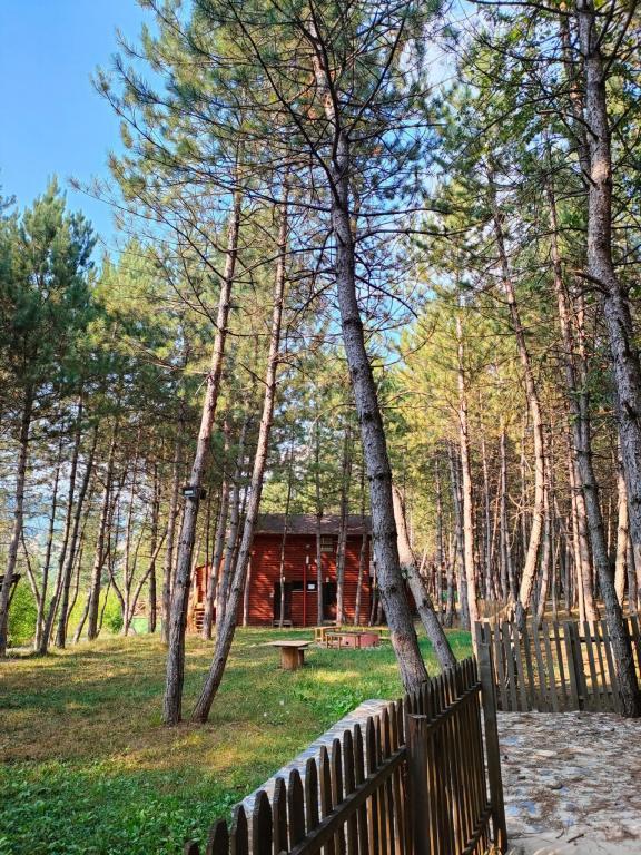 Çampınarı Doğa Evleri & Restaurant — 1