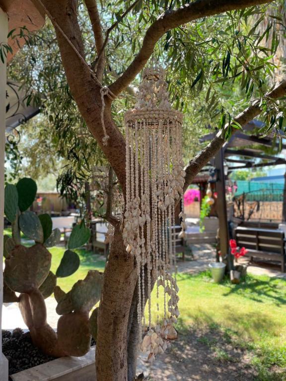 Çeşme Ada Butik Otel — 7