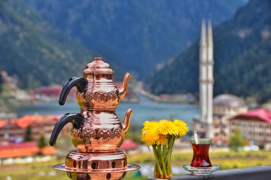 Grand Öztürk Uzungöl — 1